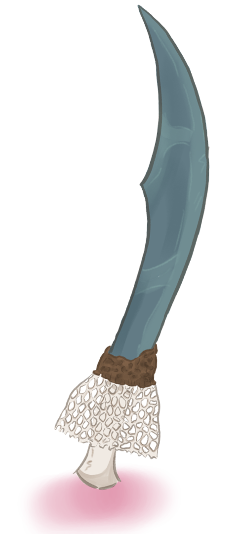 veiled lady scimitar